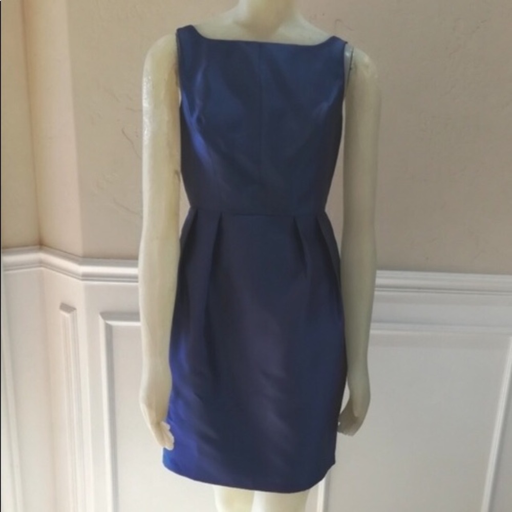 Gorgeous Adrianna Papell dress